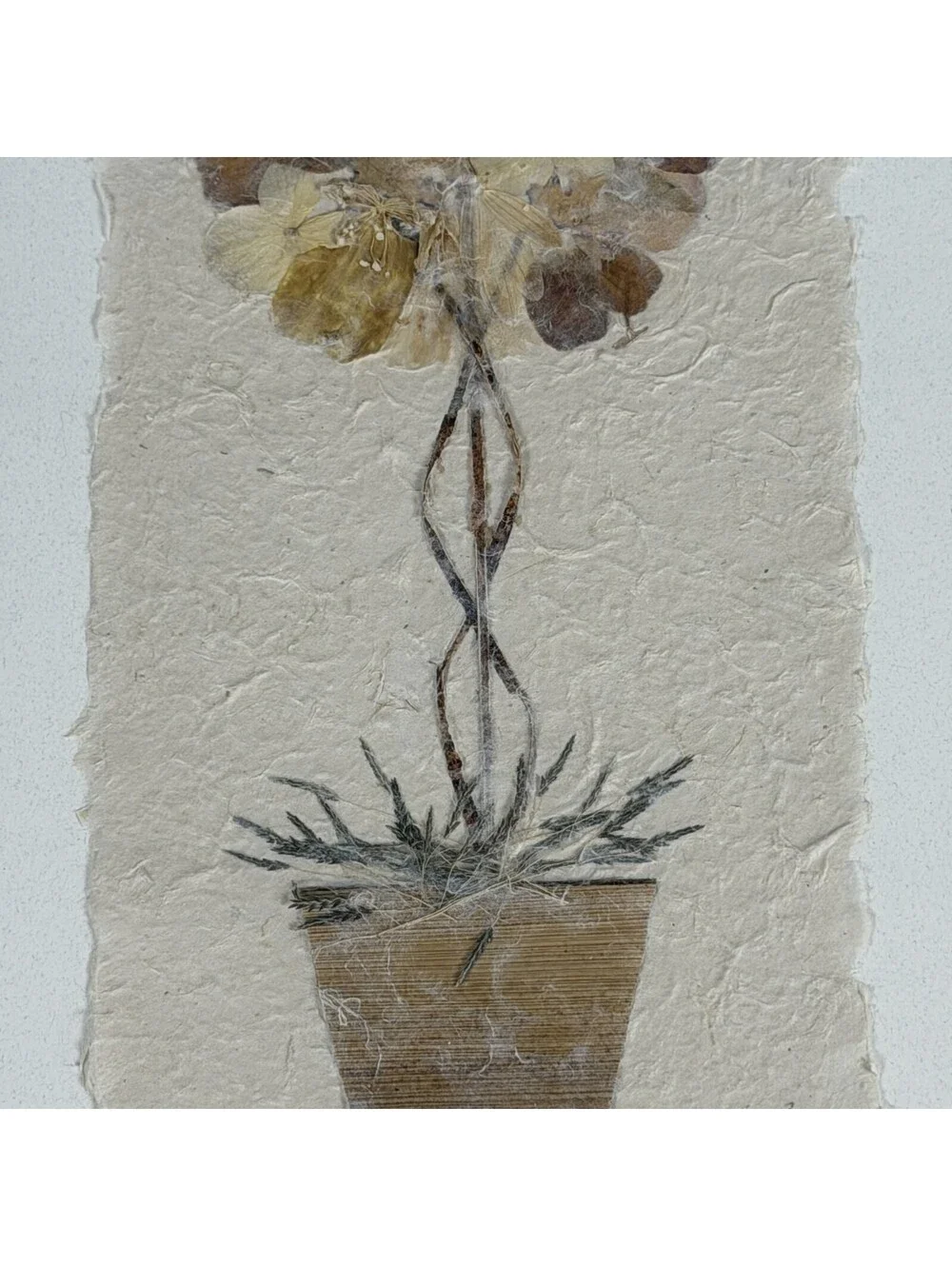 Vintage Pressed Flower Art Topiary I Framed Wall Decor S-2